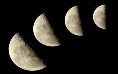 Lo que diga la Luna. Seguro. Calendario de la Luna 2012